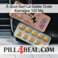 À Quoi Sert La Gelée Orale Kamagra 100 Mg 41